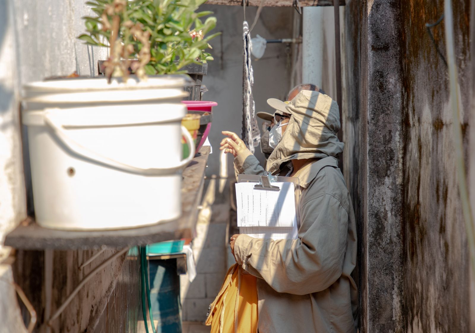 FORÇA-TAREFA - Prefeitura prepara "Dia D" de combate à dengue e endemias no bairro Nova Esperança