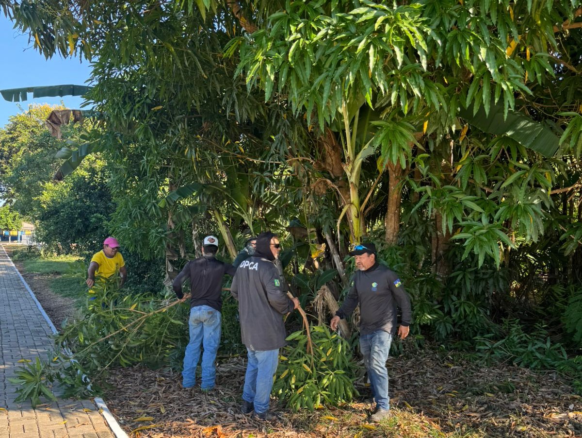 PRESENÇA - Prefeitura leva serviços de poda aos distritos de Calama e Demarcação, no Baixo Madeira 