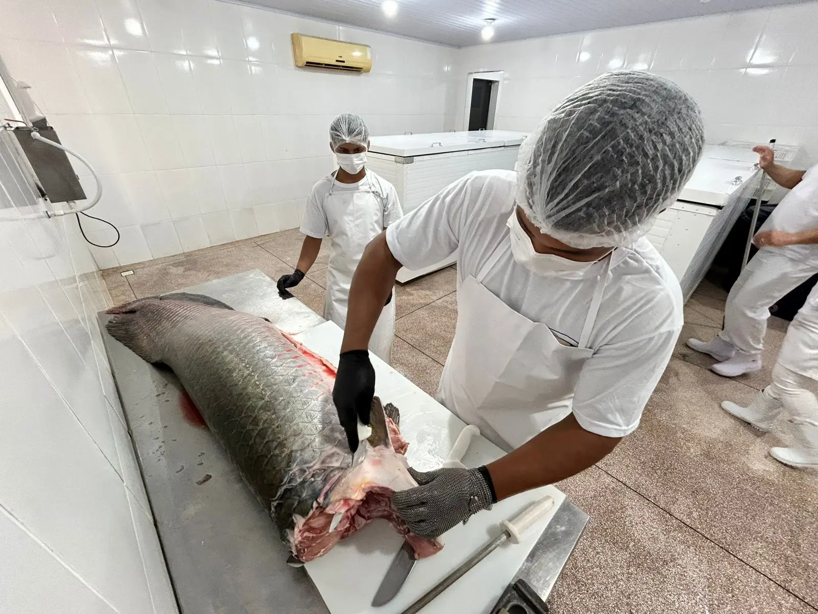 RECONHECIMENTO - Prefeitura fortalece cadeia do pescado e garante mais segurança alimentar para consumidores 