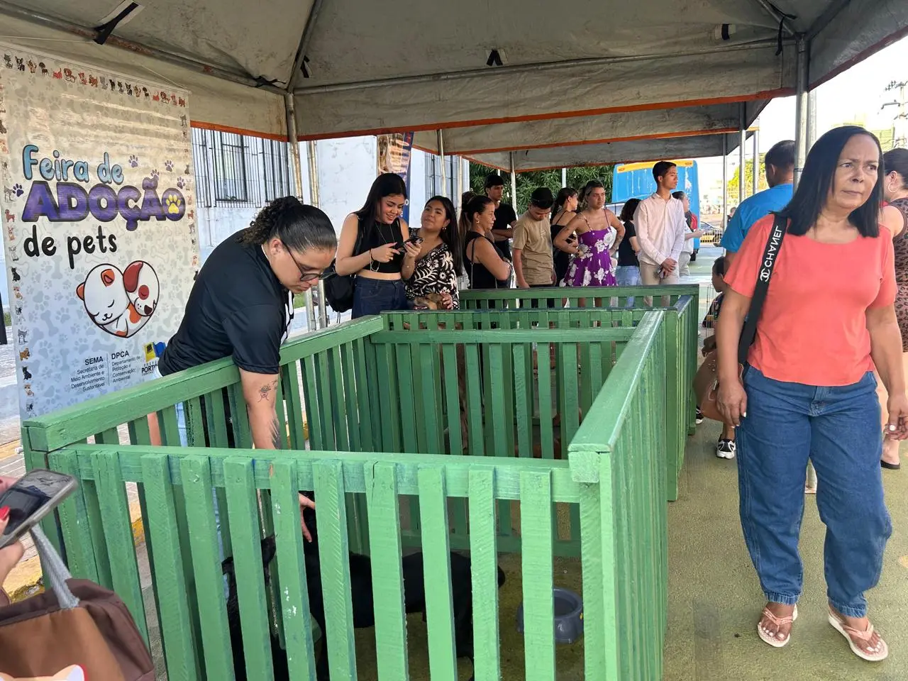 Feira de adoção transforma histórias e encontra novos lares para cães e gatos em Porto Velho