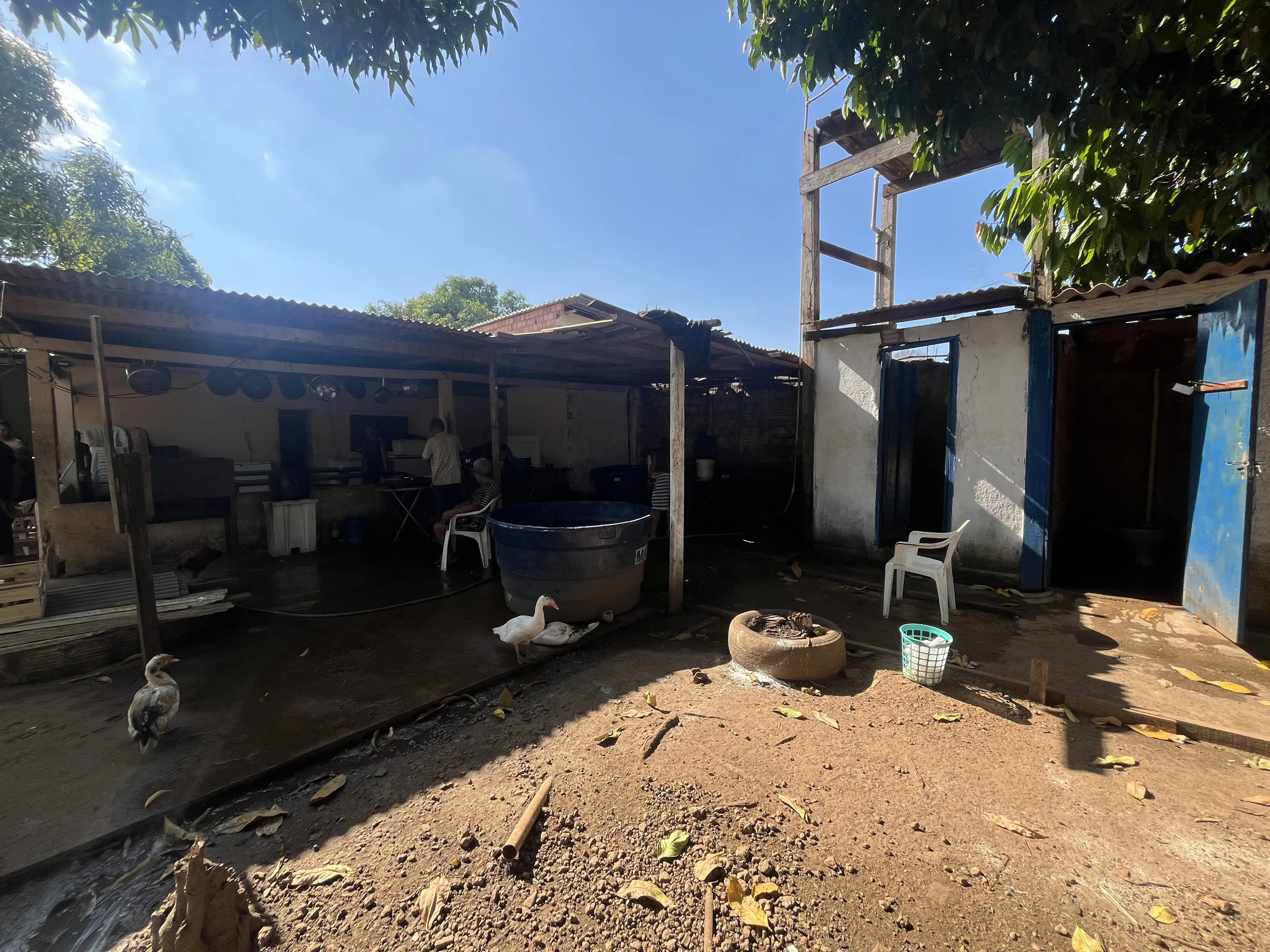 Atividade Delegada da prefeitura resgata 13 idosos de instituição irregular na zona Leste de Porto Velho