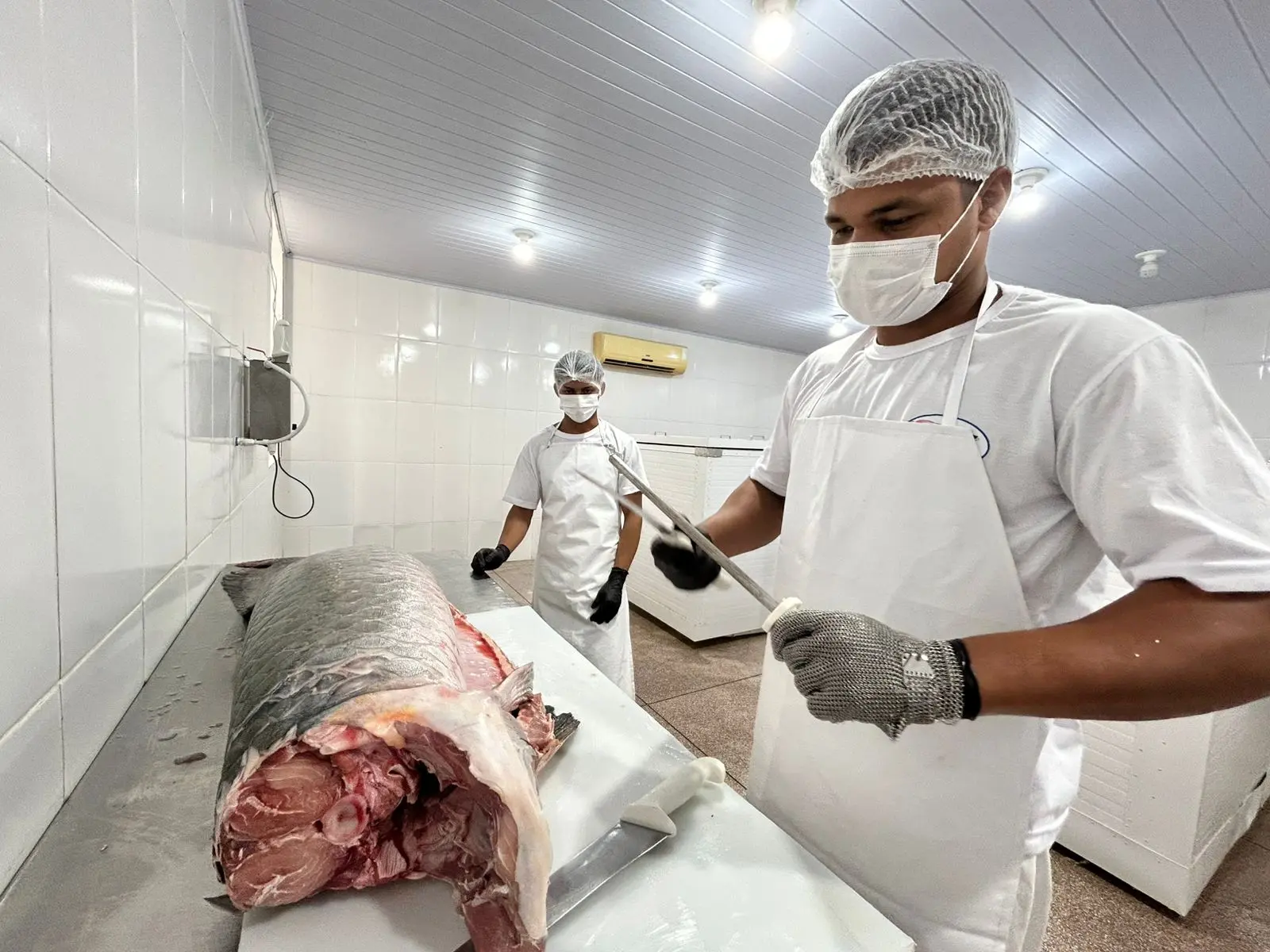 Do SIM para o Brasil: regularização abre mercado e fortalece agroindústrias de PVH