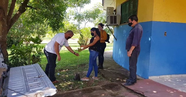 Prefeitura inicia programa de arborização em Extrema