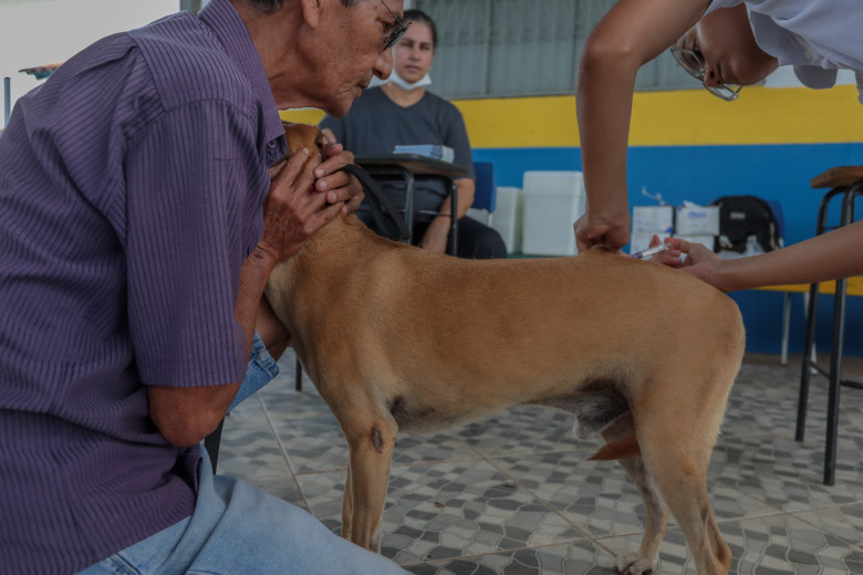 Tutores levam pets ao Dia D da Vacinação Antirrábica em Porto Velho