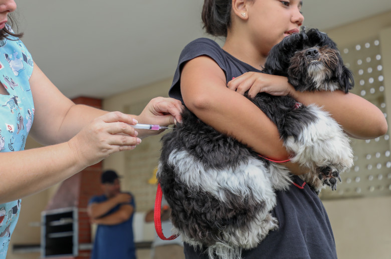 Vacinação antirrábica inicia no condomínio Bairro Novo