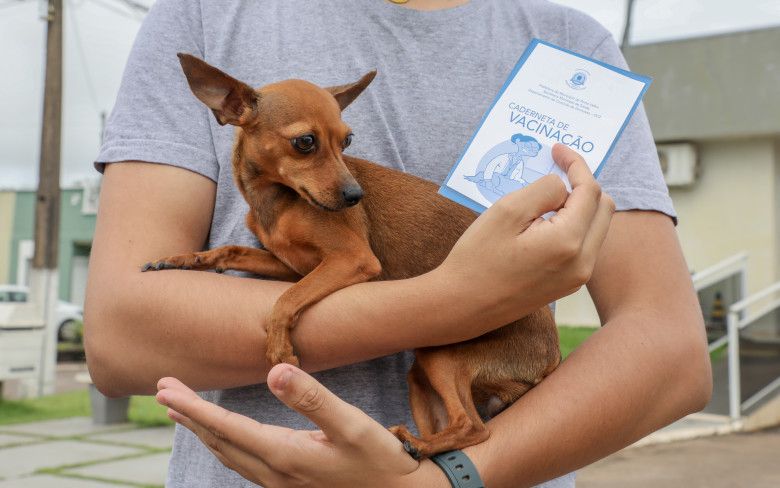 Divisão de controle de Zoonoses atua na prevenção de doenças de animais a humanos