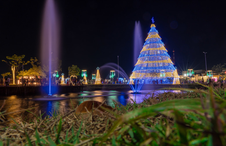 Parque da Cidade tem última semana de programação