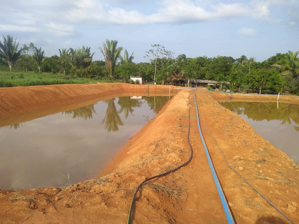 Medida garante segurança jurídica e contribui para a preservação dos recursos naturais