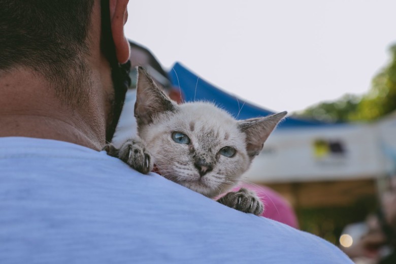 Animal deve ser vacinado e colocado para a venda somente com idade mínima de 120 dias