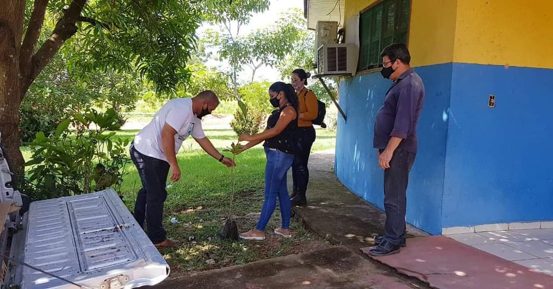 O projeto de arborização obedece ao Plano Diretor Municipal e ao Plano de Arborização