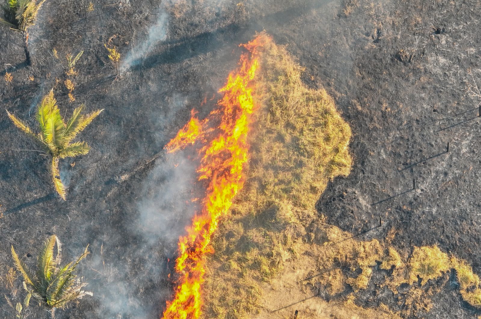 População pode denunciar qualquer foco de incêndio pelo (69) 98423-4092