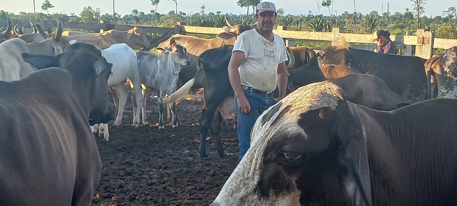 Agricultor Cláudio Estevan de Oliveira inicia a jornada antes mesmo do sol nascer