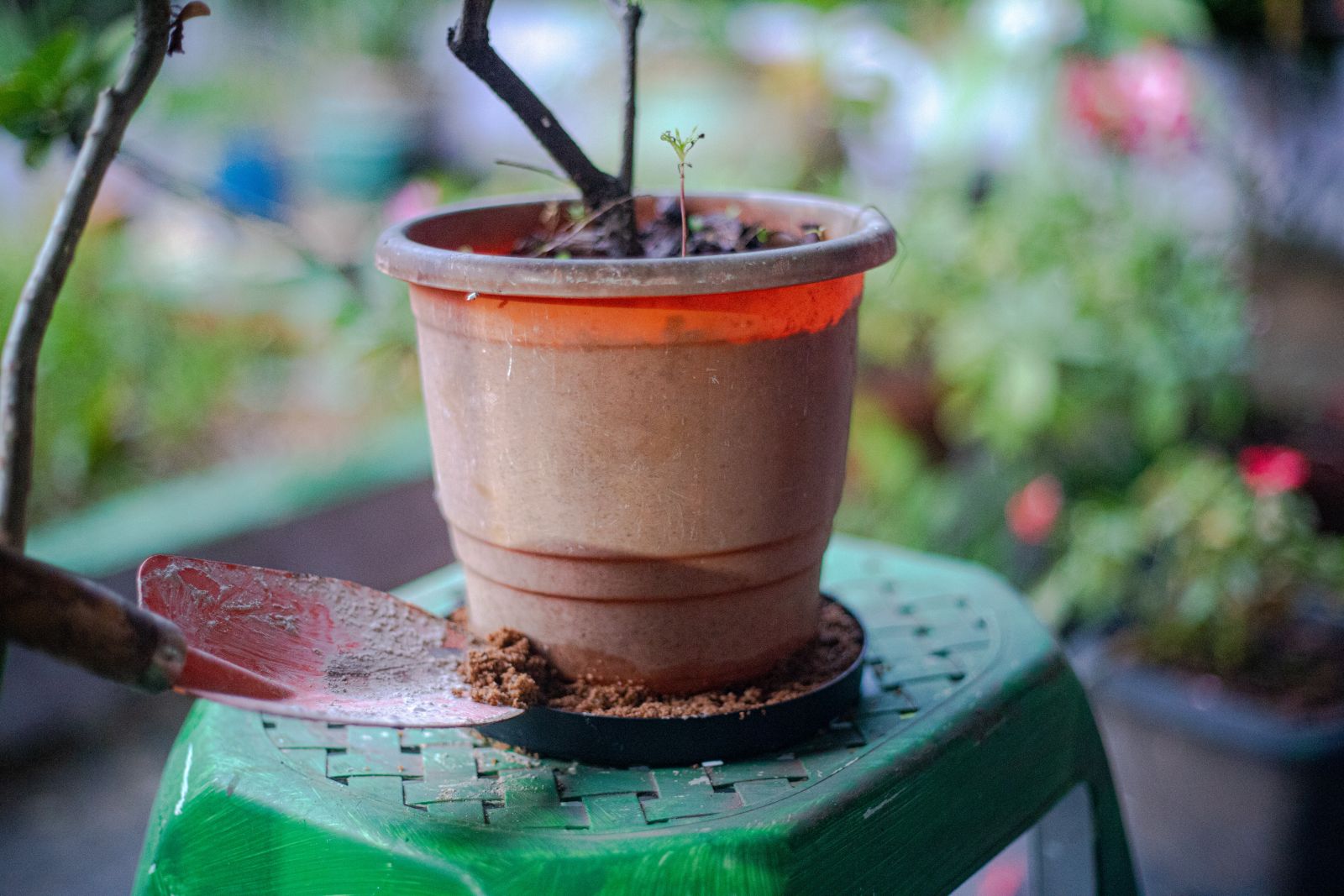 É essencial também mobilizar vizinhos e a comunidade para eliminar possíveis criadouros do mosquito