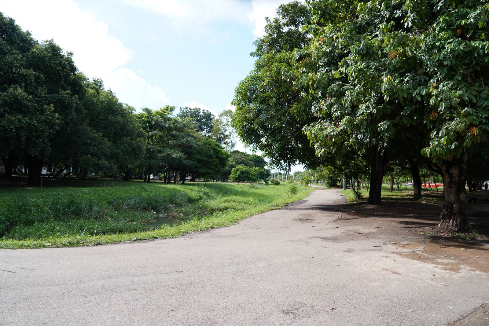 Melhorias no Skate Parque representam o intenso trabalho realizado em toda cidade
