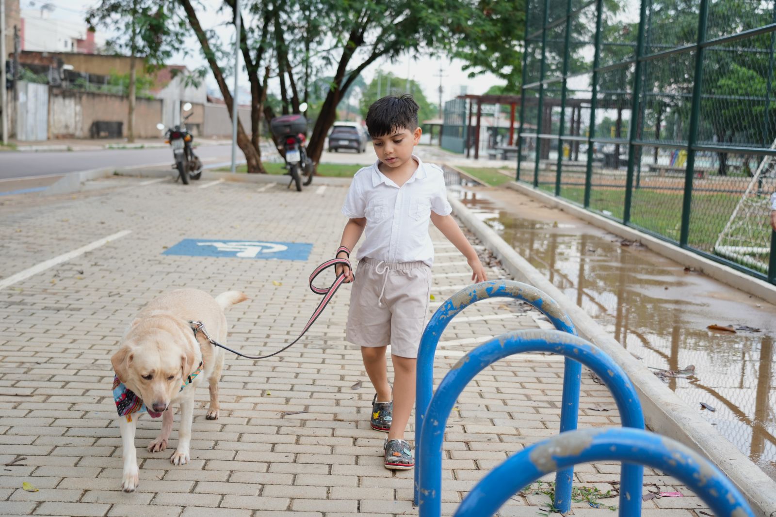 Após muitas pesquisas, Su zane decidiu adotar a Lua, uma cadela da raça labrador para suporte emocional da criança