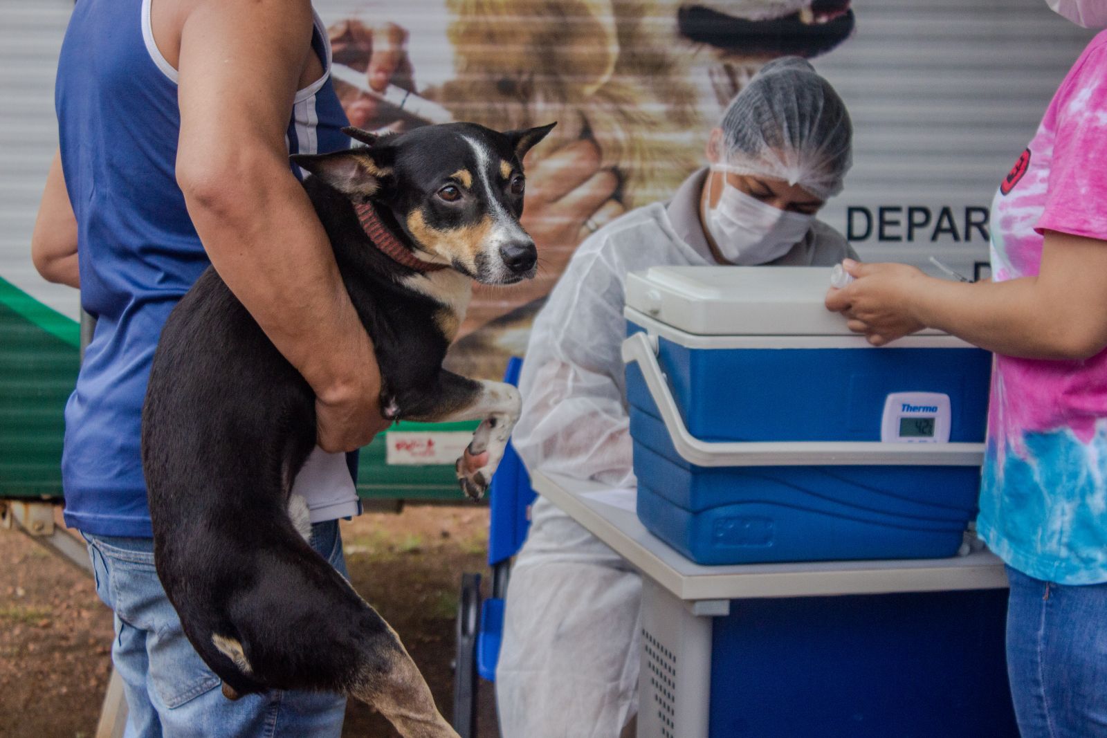 Ações agem no controle e prevenção de doenças transmitidas por animais