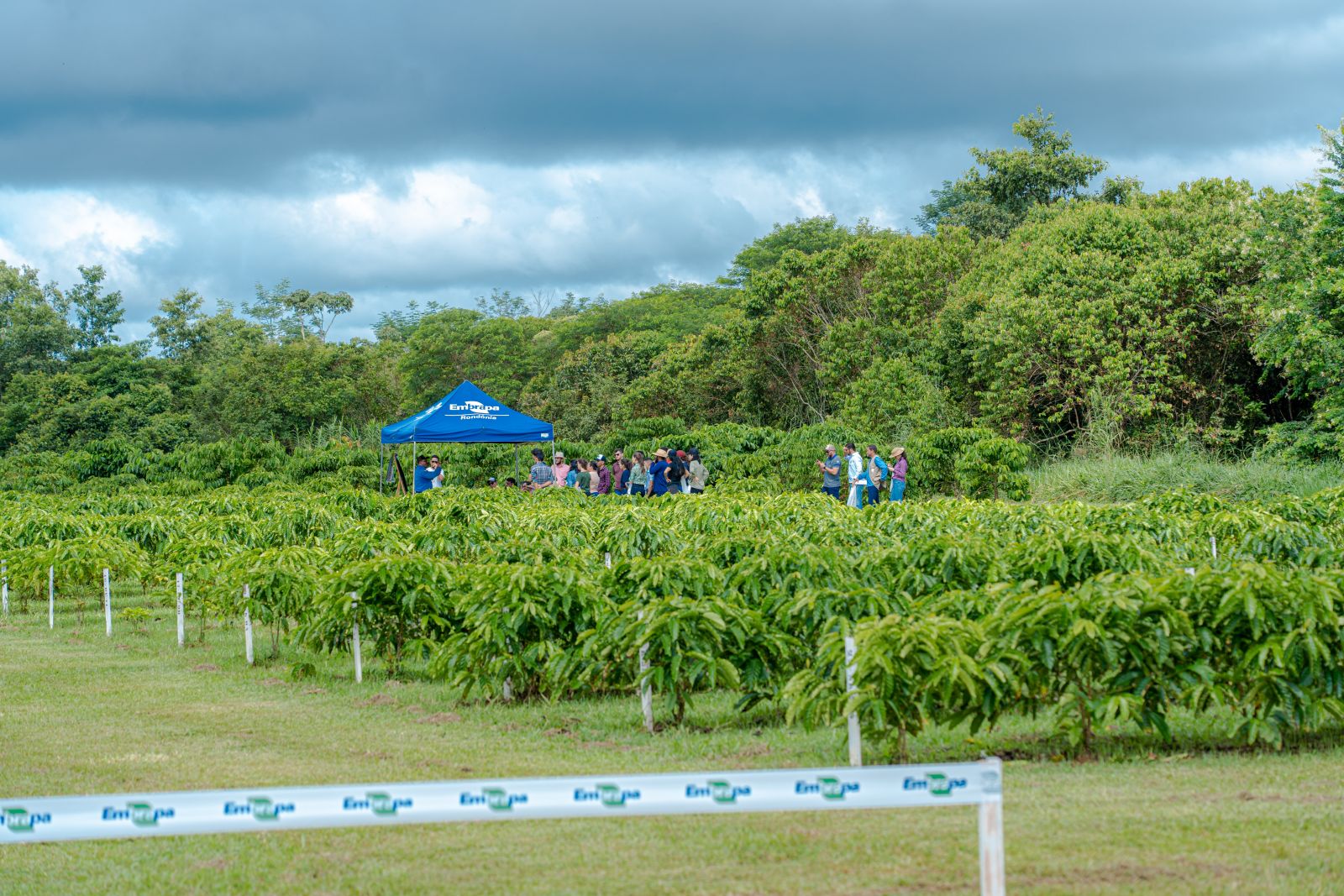 A Prefeitura garantiu o transporte de Rio Pardo e entorno, região de vários cafeicultores