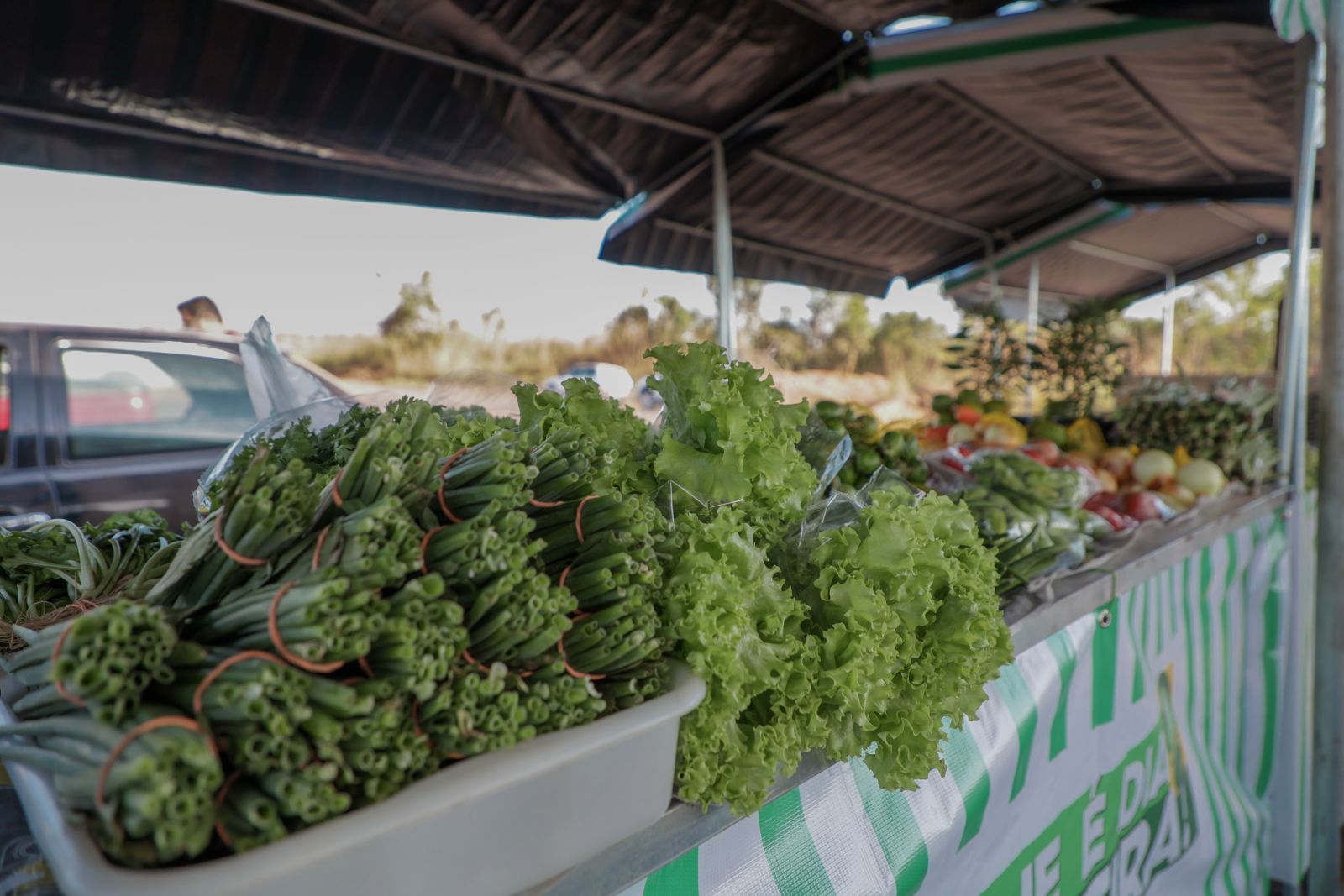Tendas dão suporte necessários aos feirantes para a comercialização dos produtos