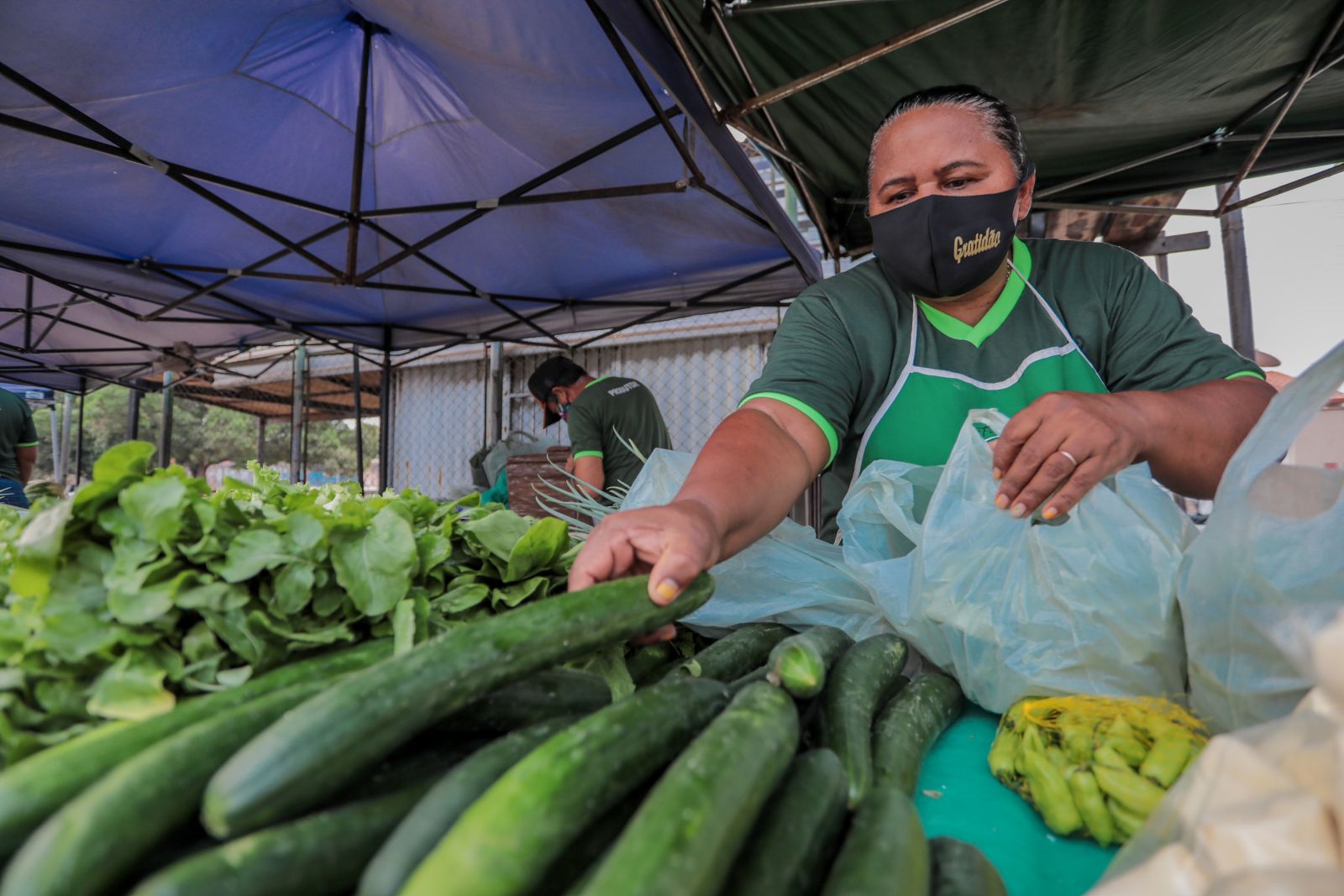 As feiras fortalecem a produção da agricultura familiar