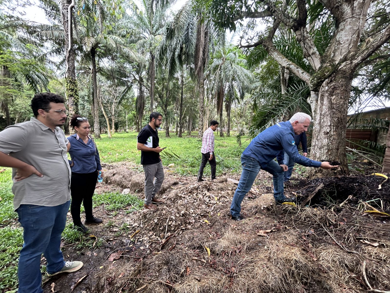 Iniciativa sustentável que vem se destacando na gestão ambiental