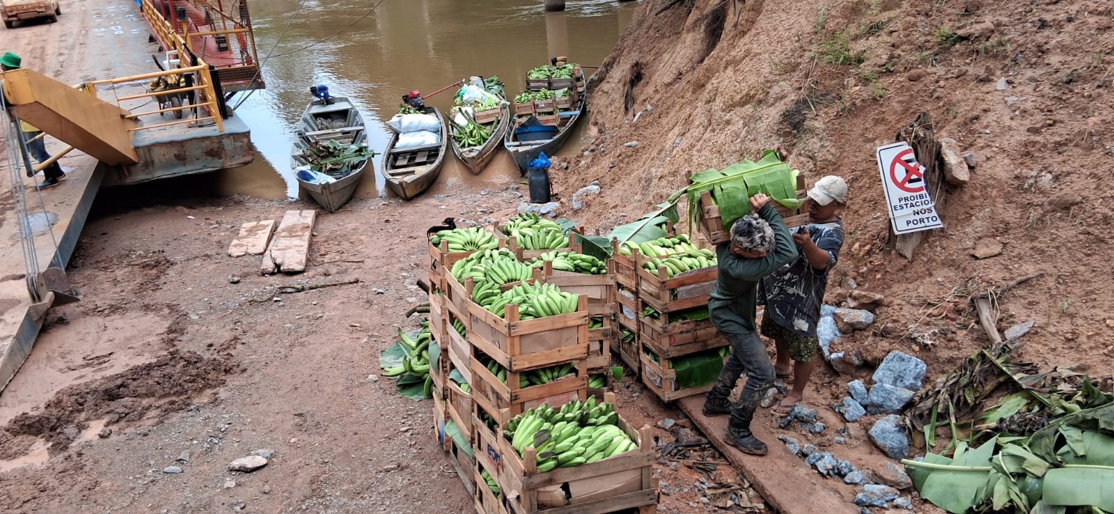 Entre os principais produtos transportados está a banana comprida, que somou 51.550 toneladas