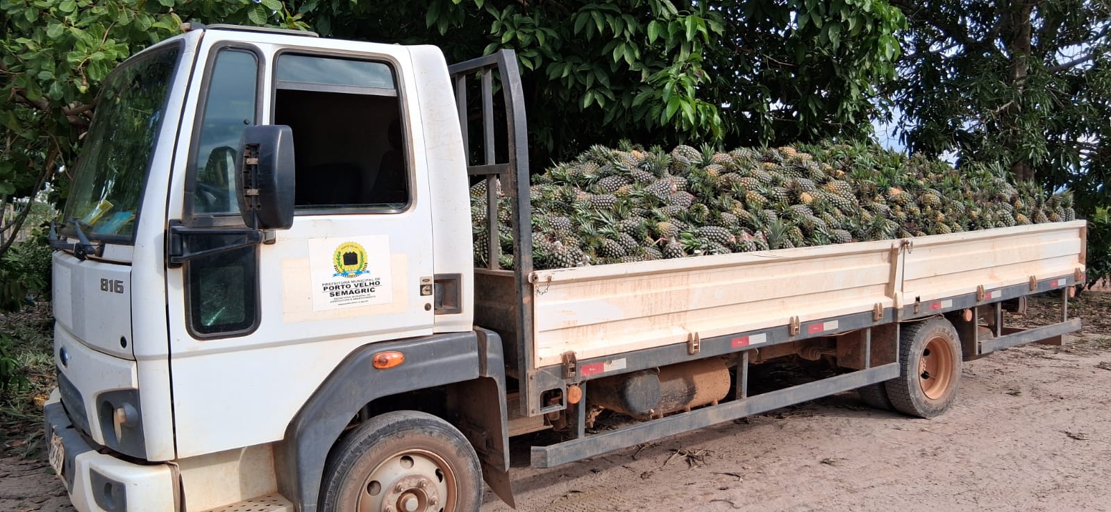 Transporte gratuito da produção rural é uma política pública que gera impacto direto na vida do agricultor