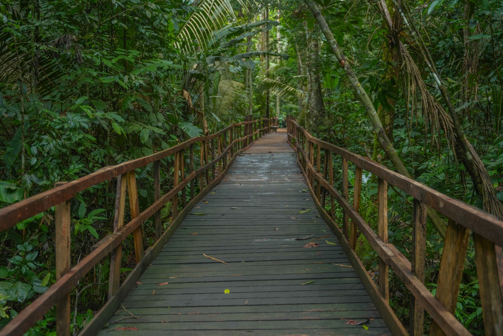 Parque Natural agora conta com uma nova atração: a Trilha Palafitada.