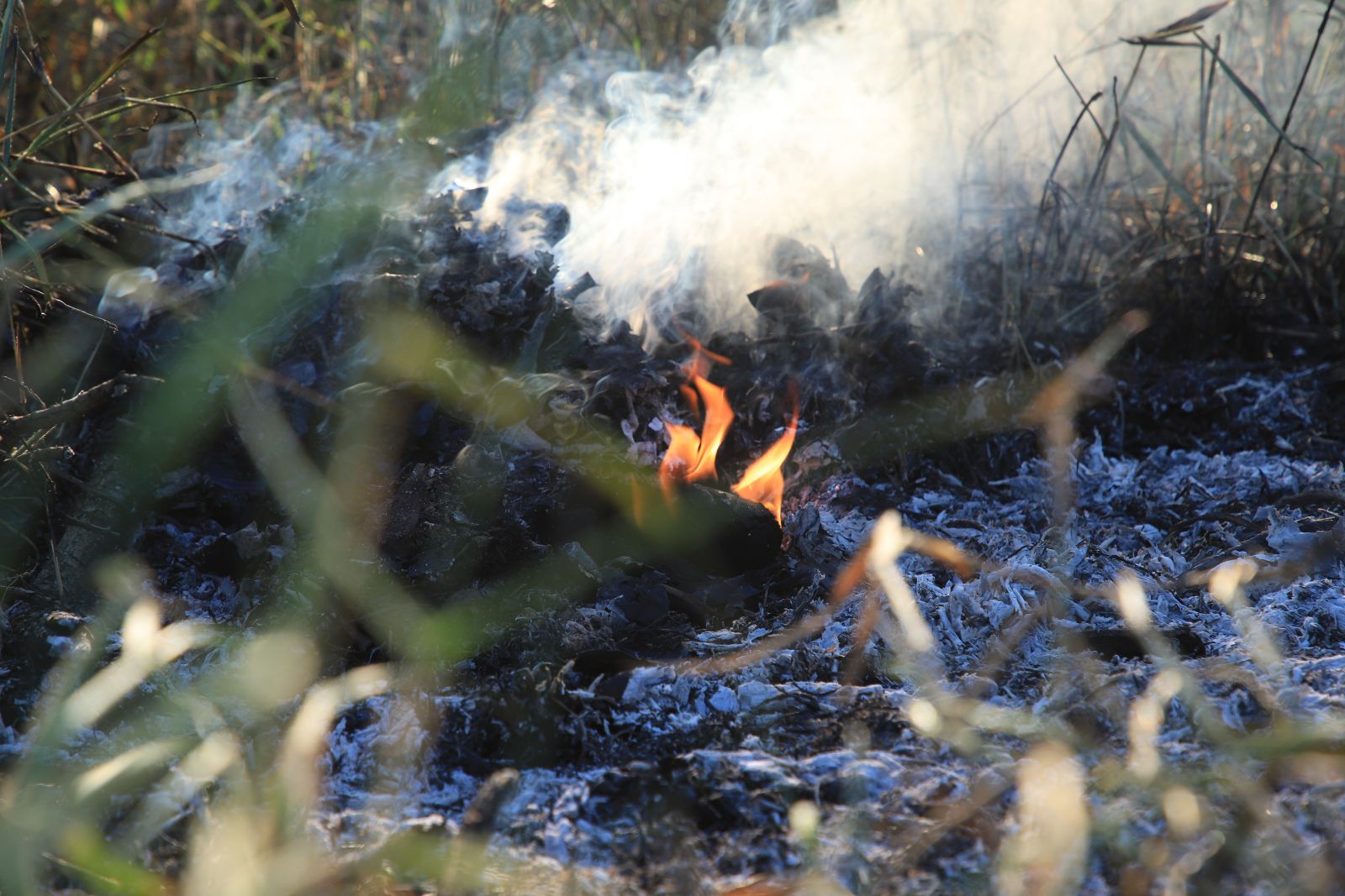 Poluição gerada pelos incêndios tem causado impactos significativos tanto nas áreas urbanas quanto rurais da capital