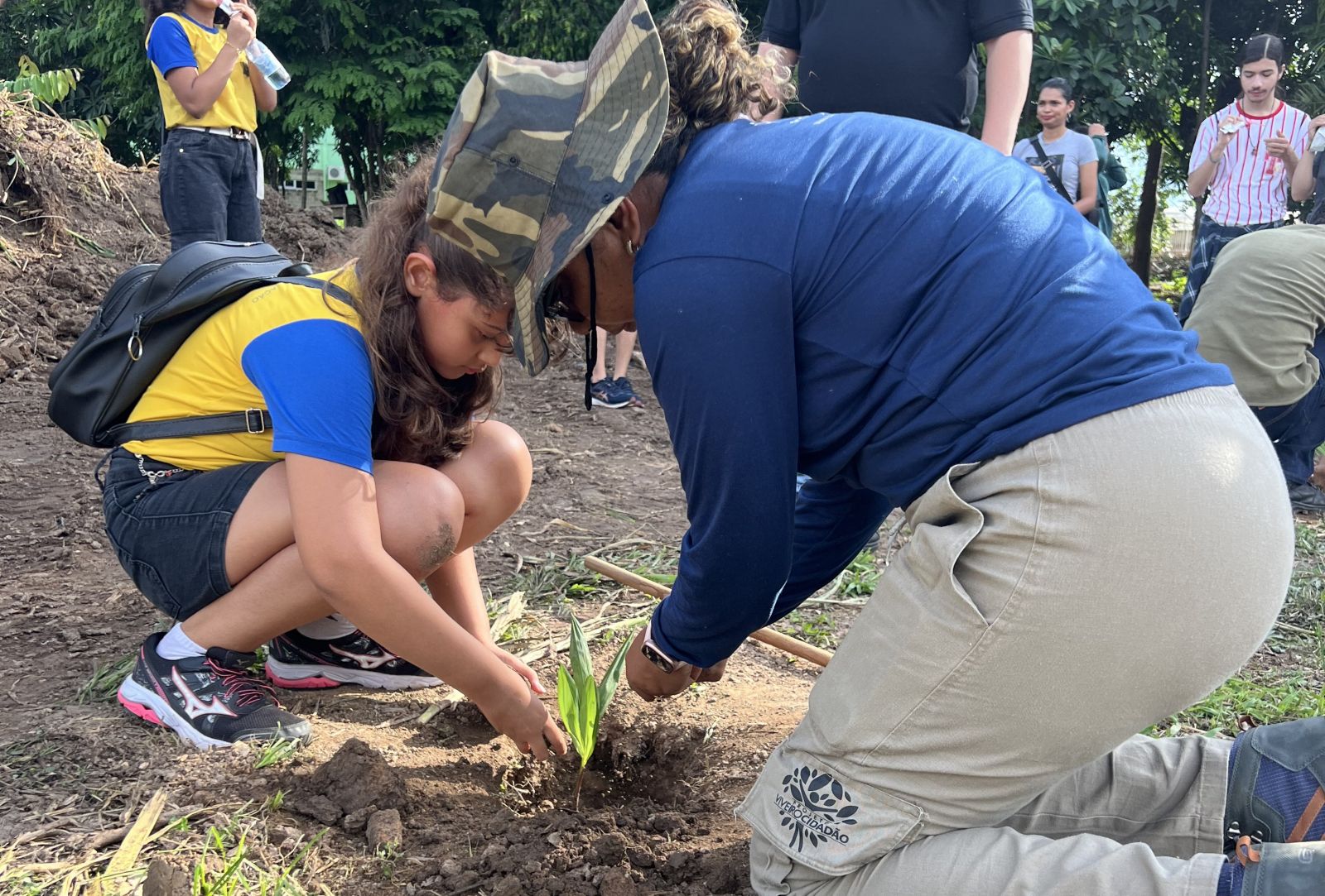 Meta de cerca de 2 mil mudas contribui para ampliar a vegetação local e fortalecer a fauna urbana