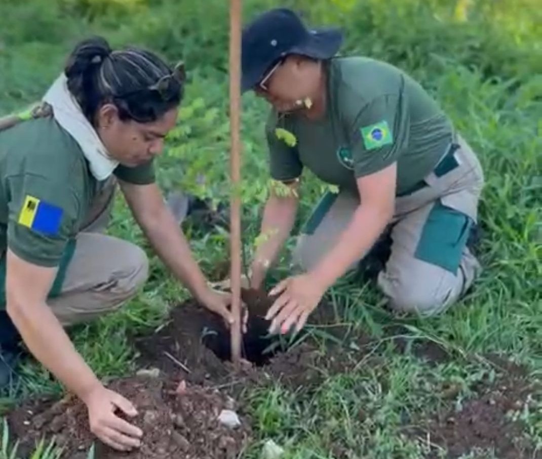 Equipes da Sema realizaram diversas ações, como o plantio de espécies nativas