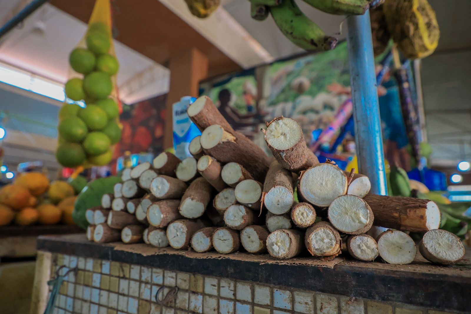 Na agricultura familiar, a banana, a melancia e a macaxeira dominam as culturas produzidas pelos produtores no município