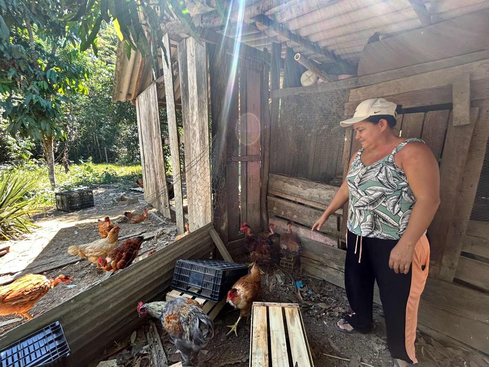 Raimunda cultiva, junto com o marido e os filhos, hortaliças, galinhas e ovos caipiras
