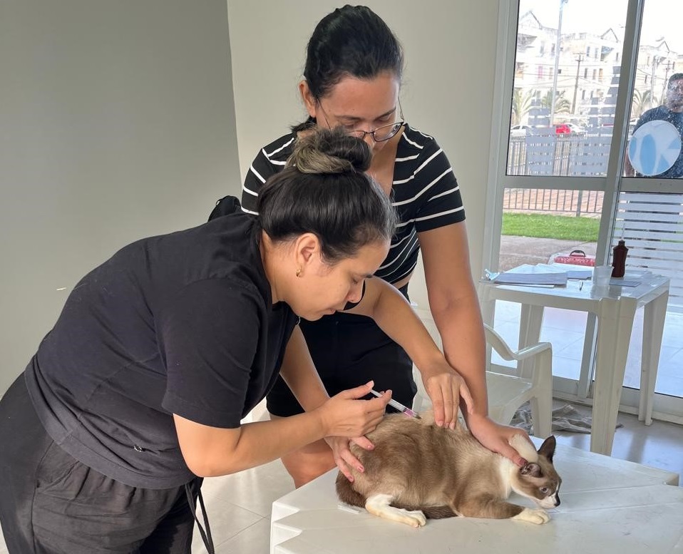 Vacinação é a única forma eficaz de prevenção