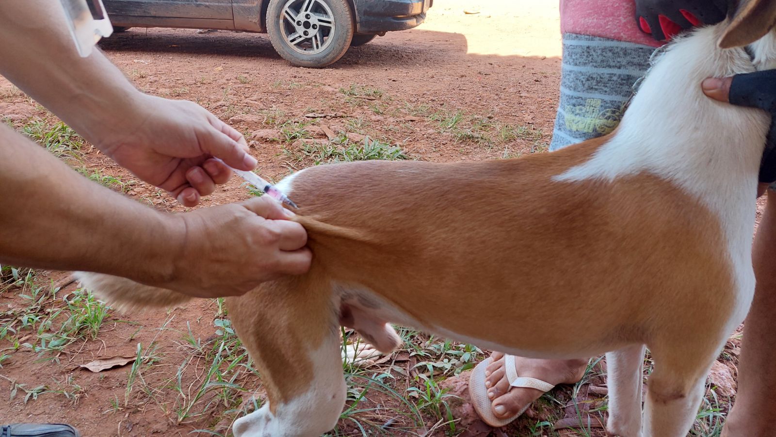 Ação aconteceu no último sábado (22), na Colônia Viçosa, zona rural de Porto Velho