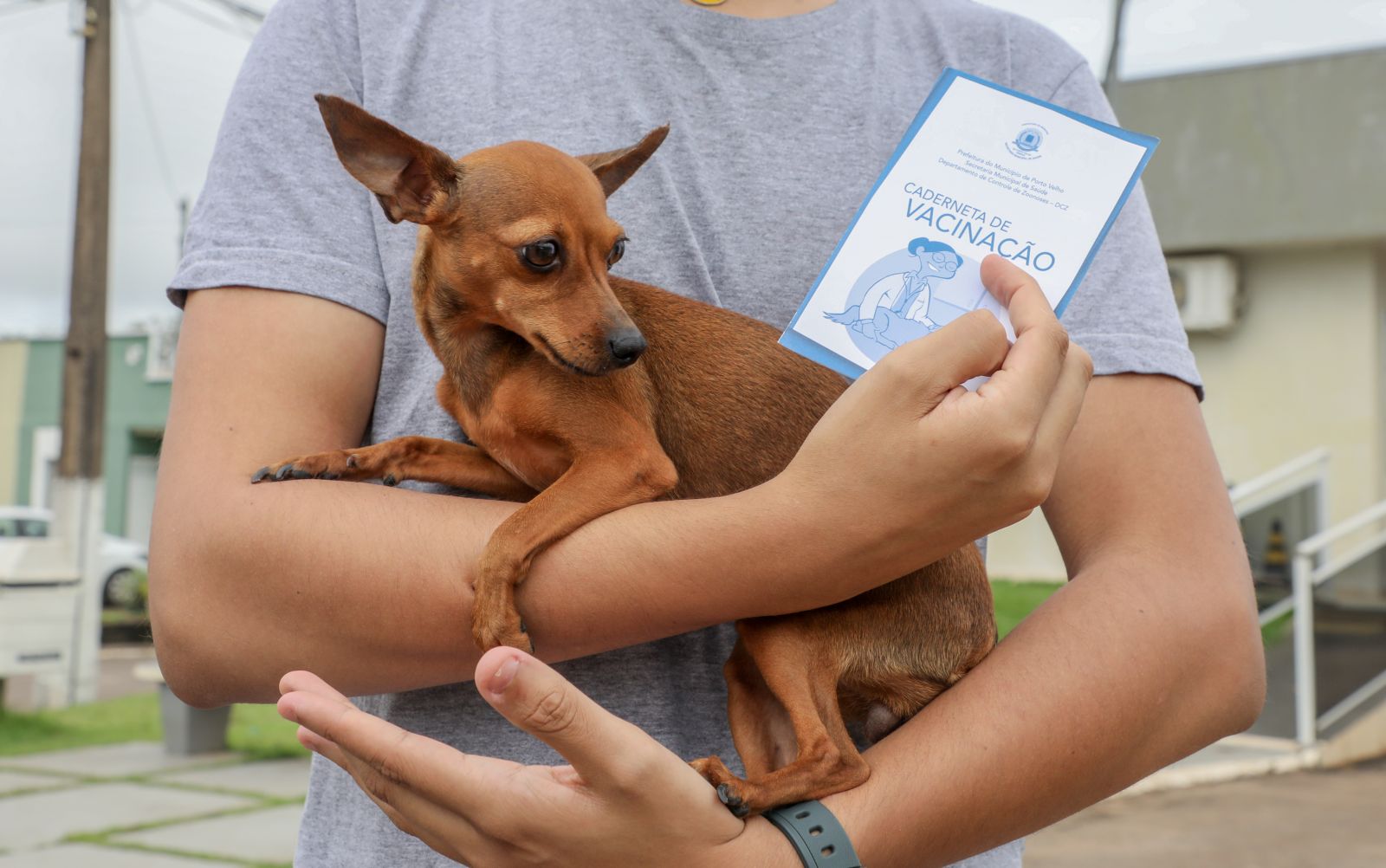 Podem receber a dose cães e gatos a partir de 3 meses