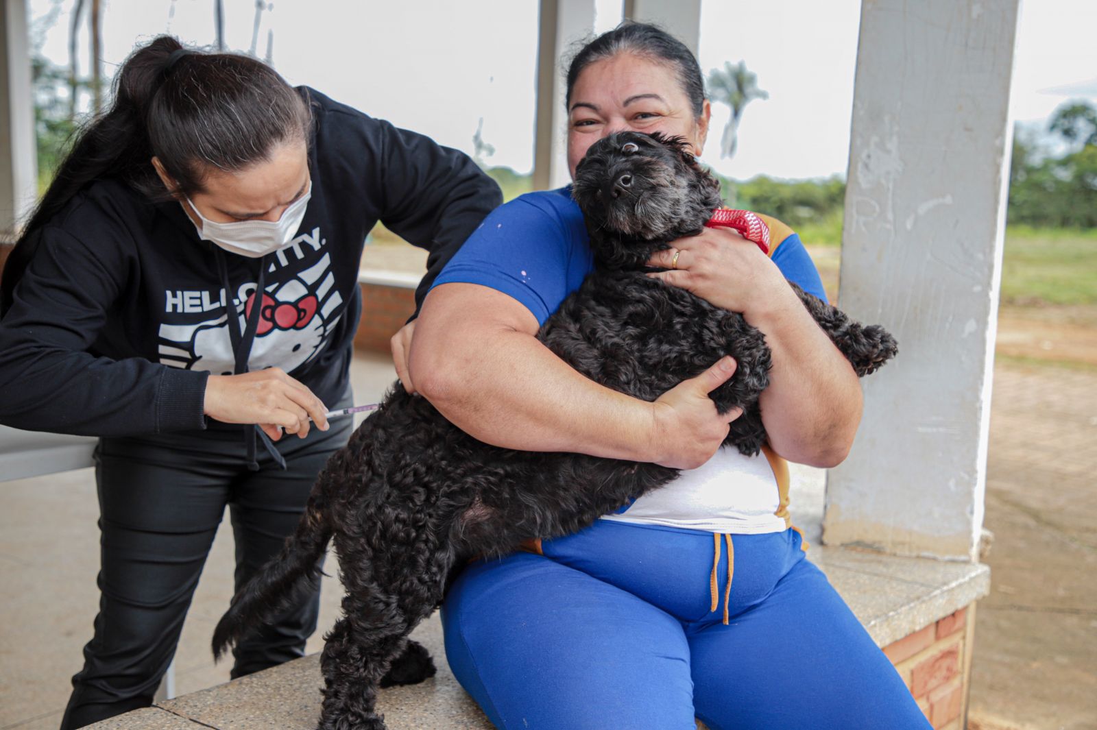 Animais devem estar sadios e terem mais de três meses de vida para receberem a vacina
