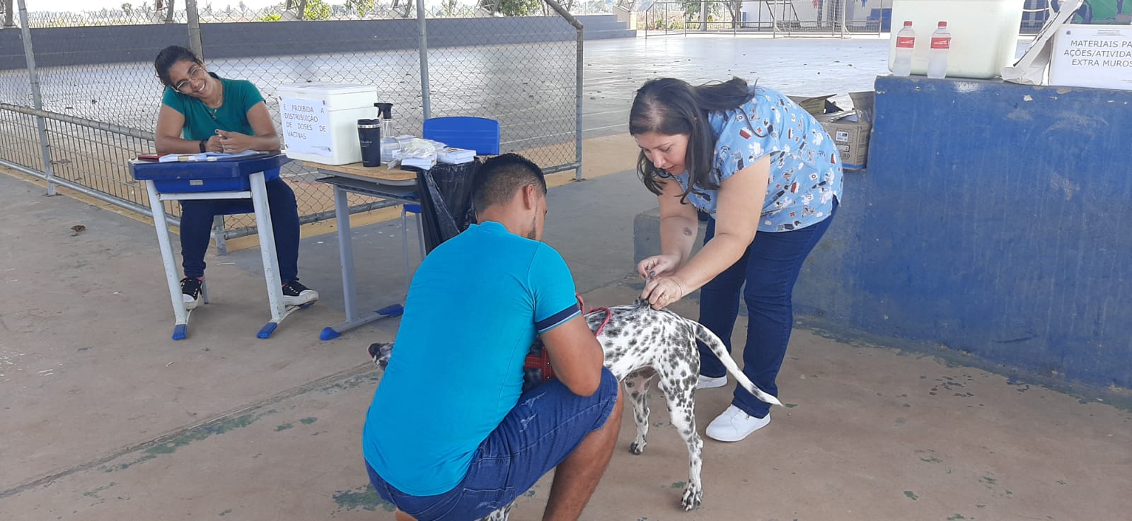 Recomenda-se que a vacina seja aplicada anualmente em cães e gatos