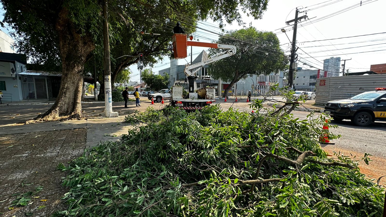 Sema realiza trabalho de poda de árvores e retirada de galhos em diversas regiões da cidade