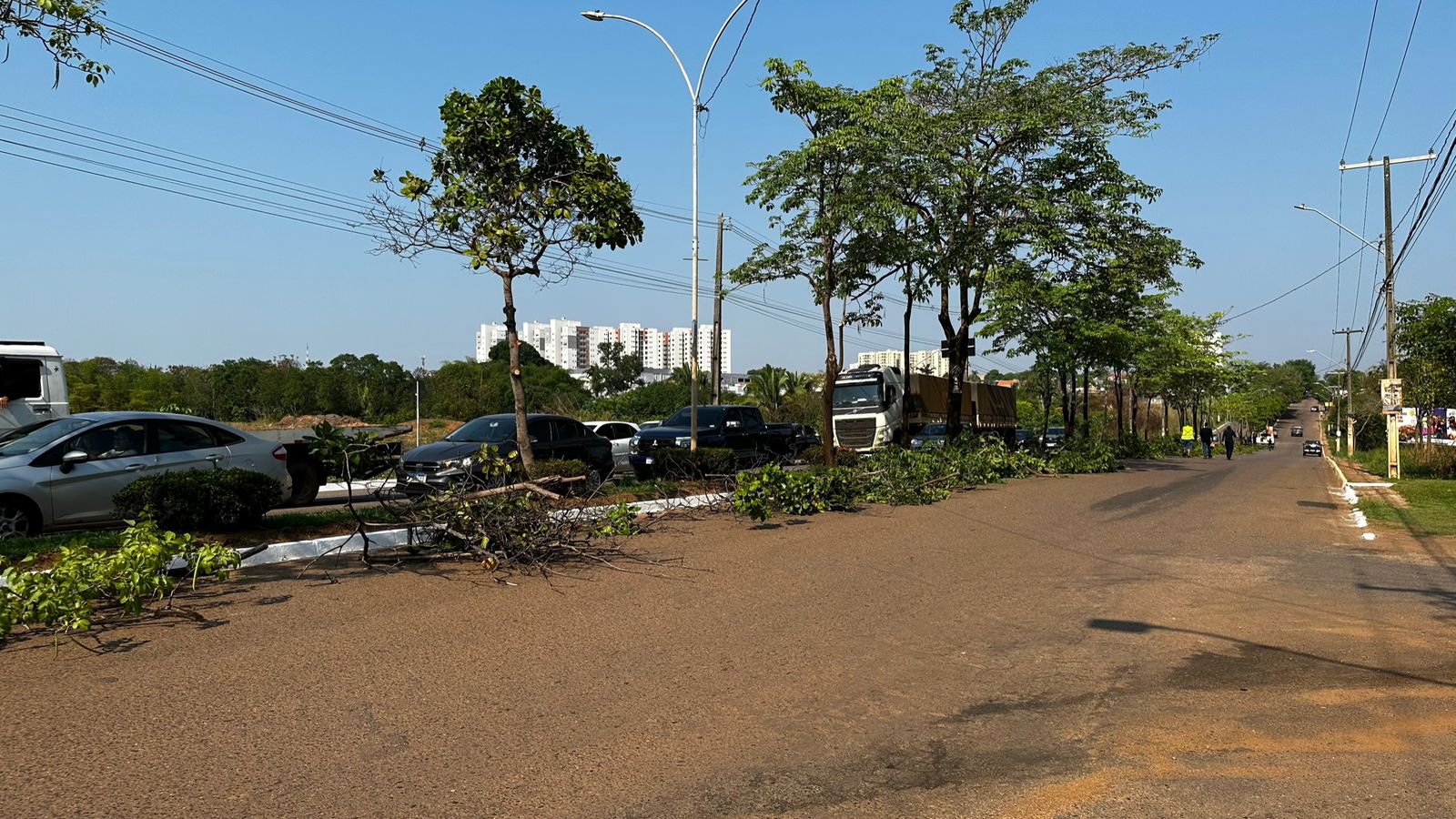 Ação é necessária para evitar que os galhos possam cair sobre veículos, pedestres, casas ou fiações elétricas