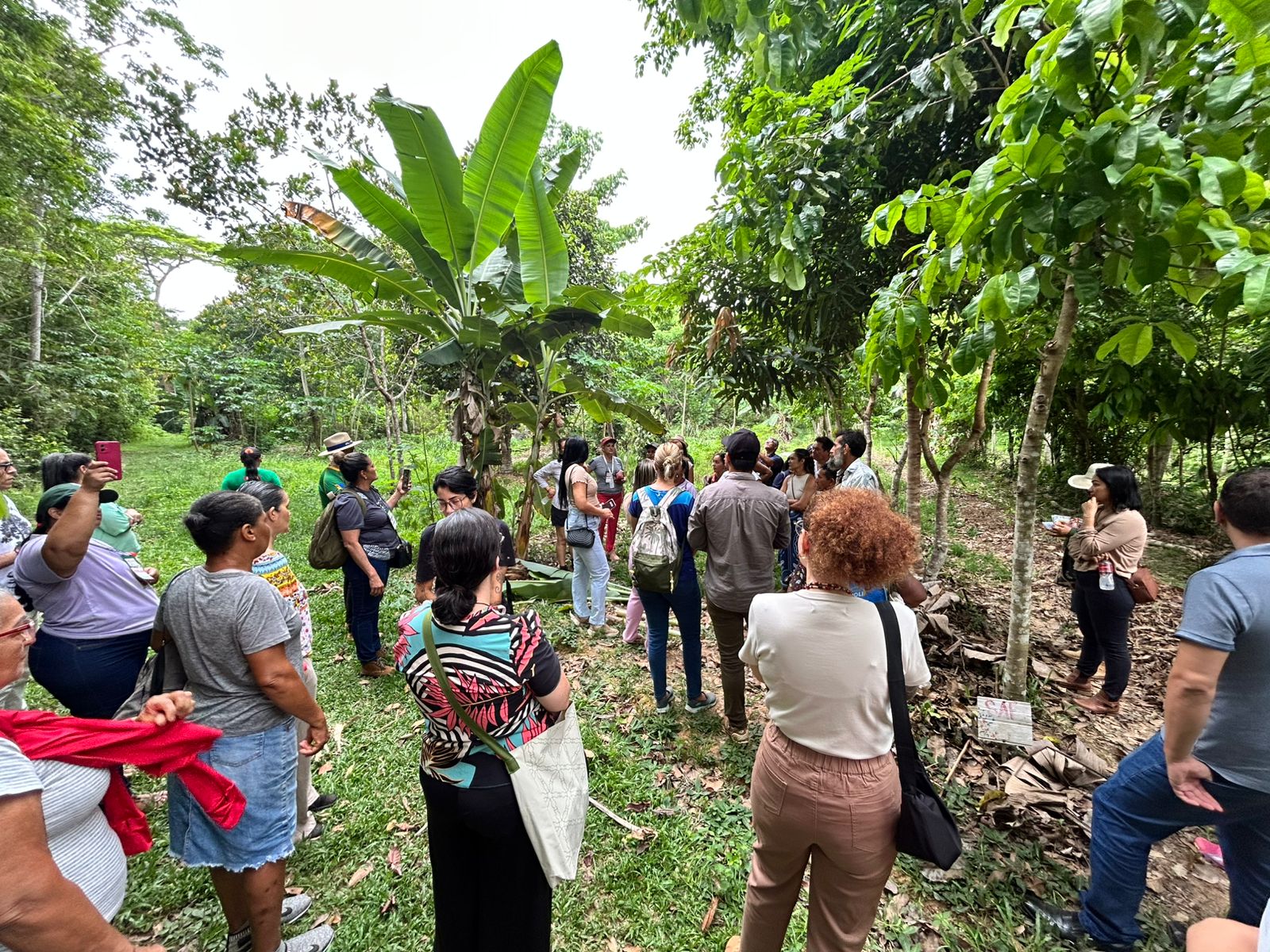 Participantes conhecem projetos que impulsionam a agricultura familiar e levam alimentos frescos à merenda escolar