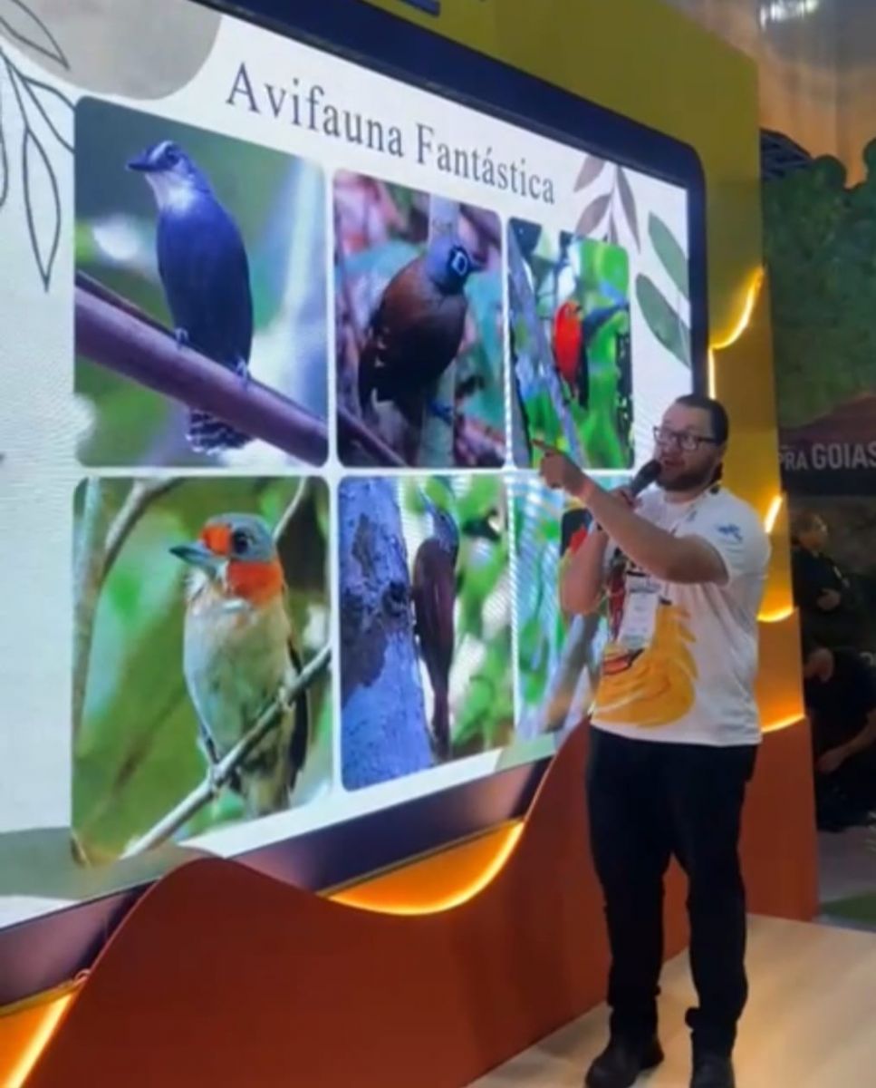 Município busca reconhecimento como referência nacional no birdwatching