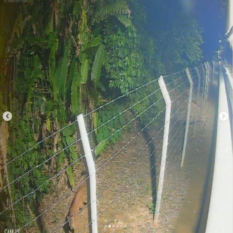 Equipes técnicas passaram a monitorar a área, adotando medidas preventivas voltadas à segurança da população