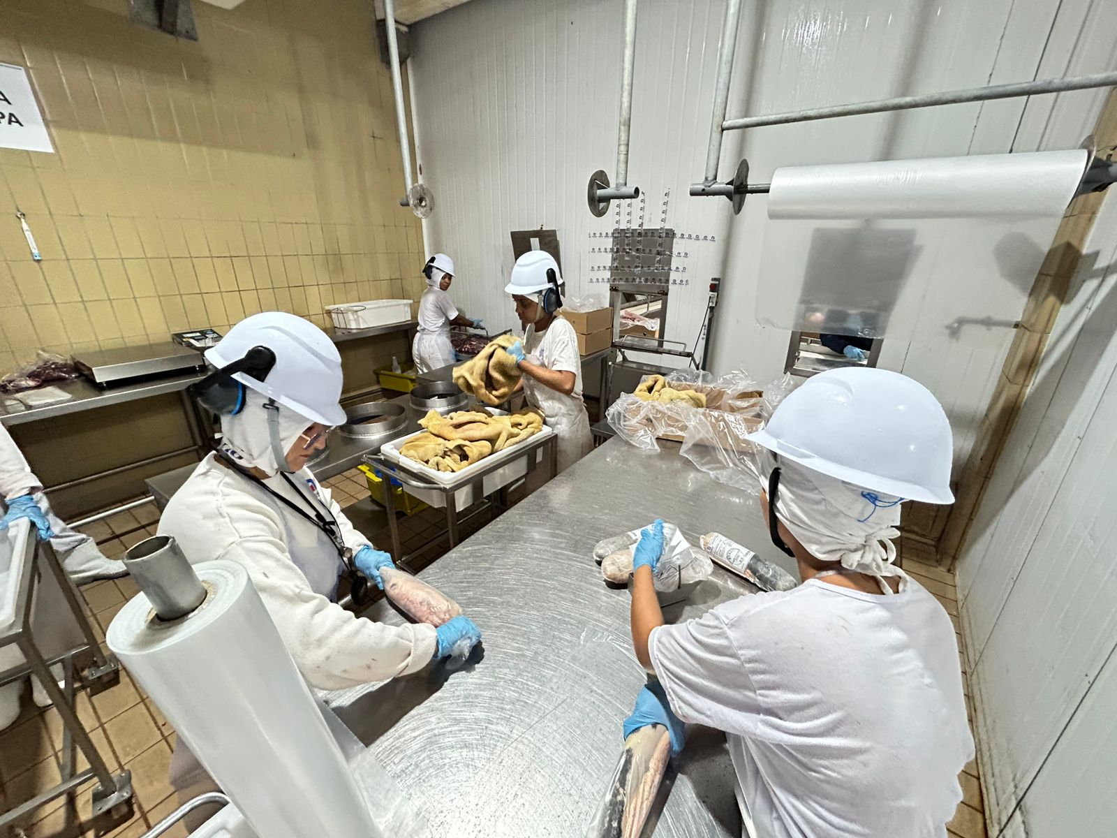 Porto Velho conta ainda com um abatedouro de codornas e aguarda o abate teste de um frigorífico de frango