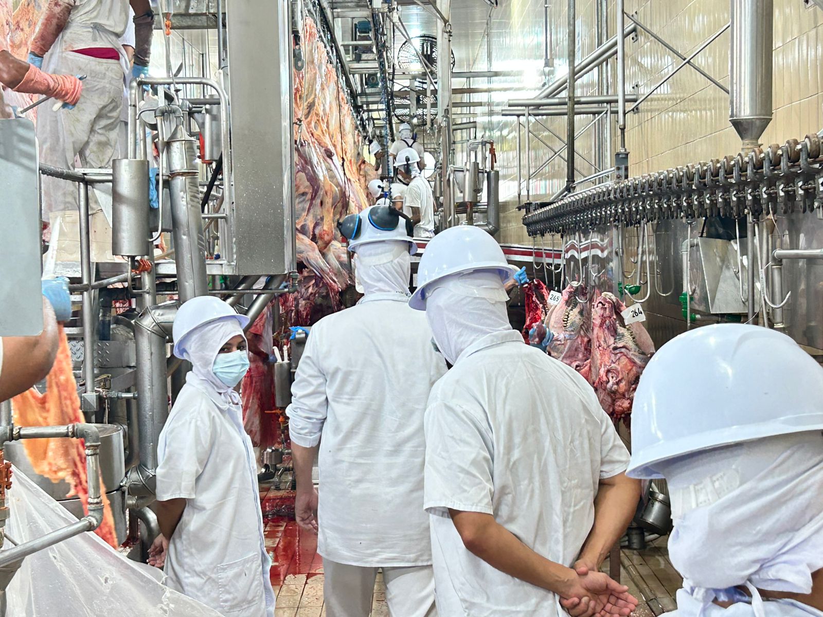 Frigorífico Boi Criolo atende toda a região da Ponta do Abunã, com abate médio de 30 a 45 bovinos por dia