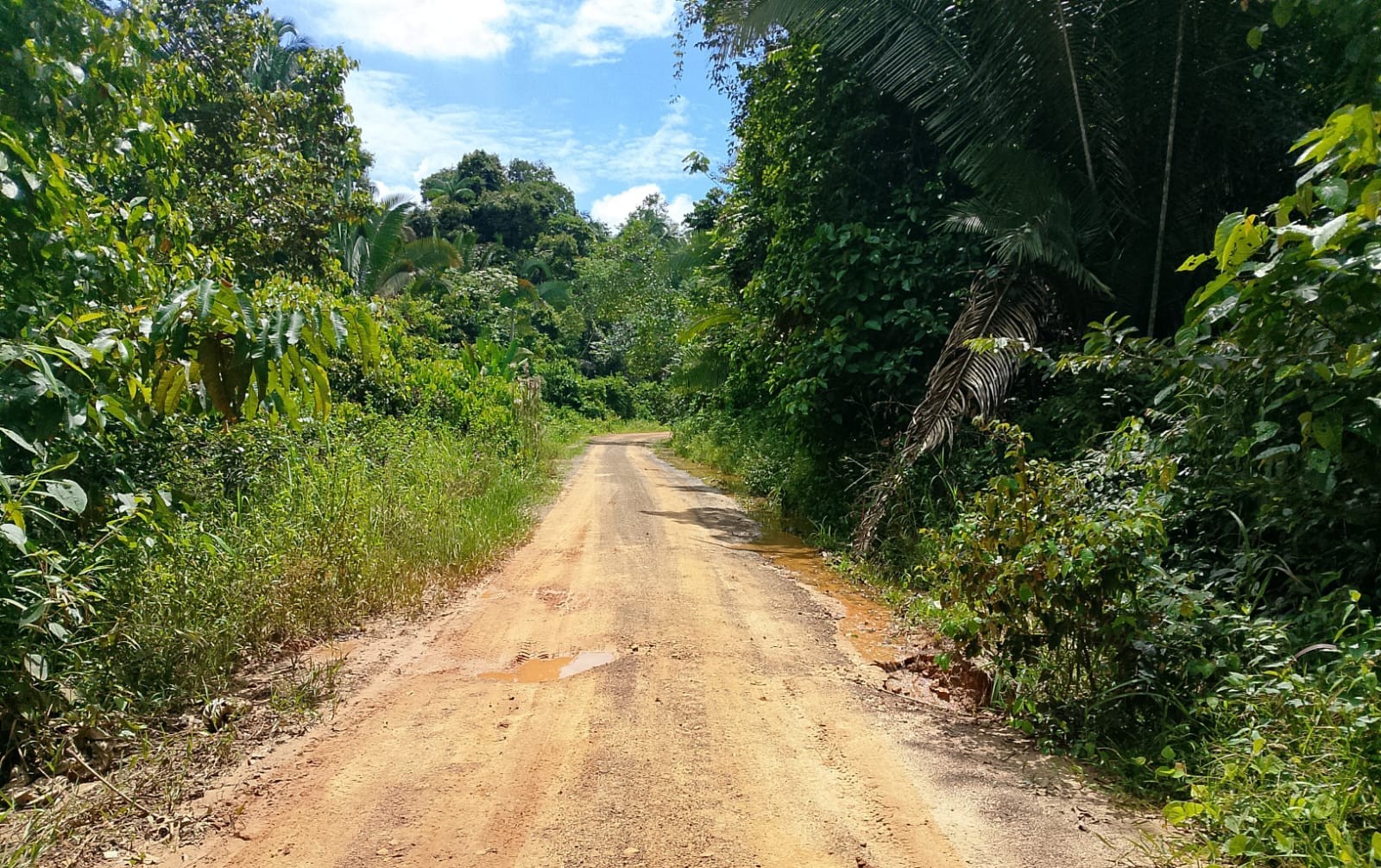 Inspeção permitiu mapear problemas que comprometem a trafegabilidade e a segurança