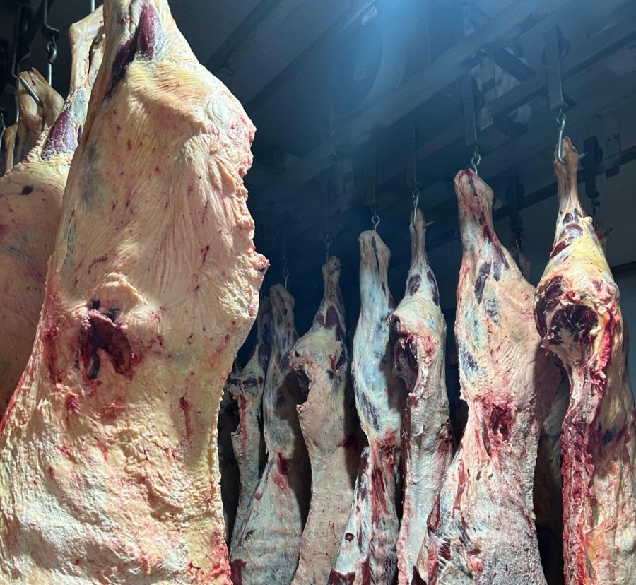 Fiscalização assegura que os produtos sigam padrões sanitários