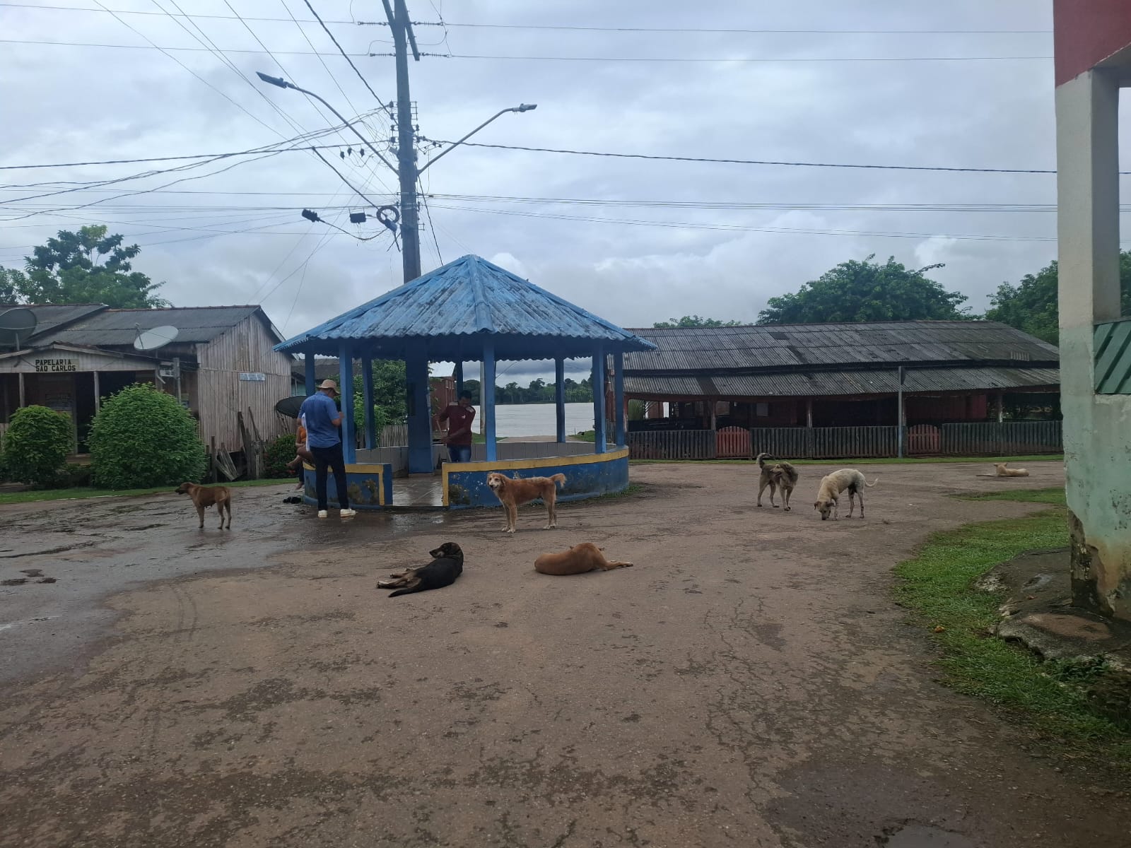 Cerca de 50 atendimentos foram realizados entre vacinação e consultas clínicas