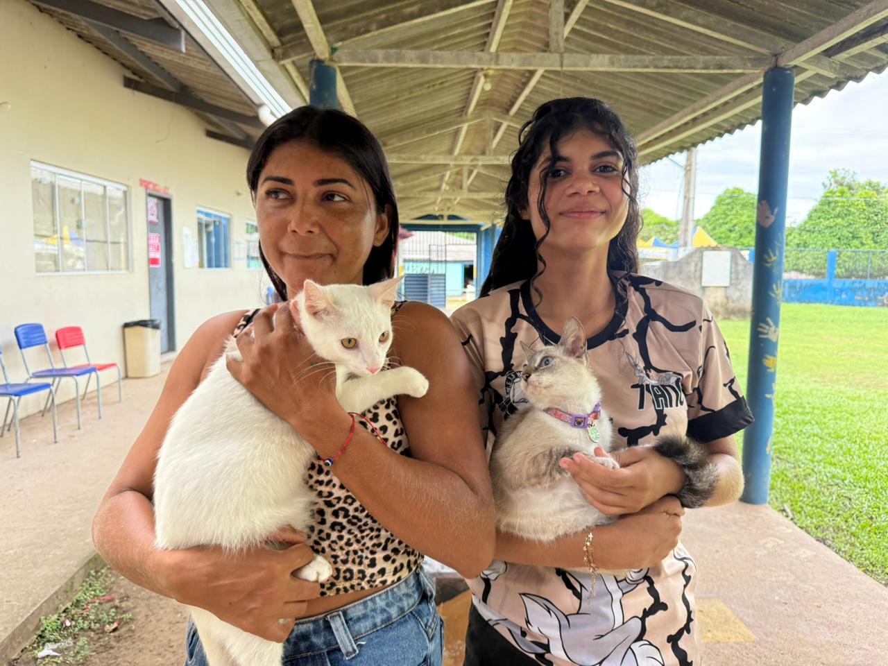 Casal de gatinhos levados por Isabela e Eida Castro, mãe e filha que compartilham o amor pelos pets