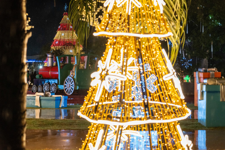Os idosos tiveram a oportunidade de se maravilhar com a beleza da ornamentação do Parque