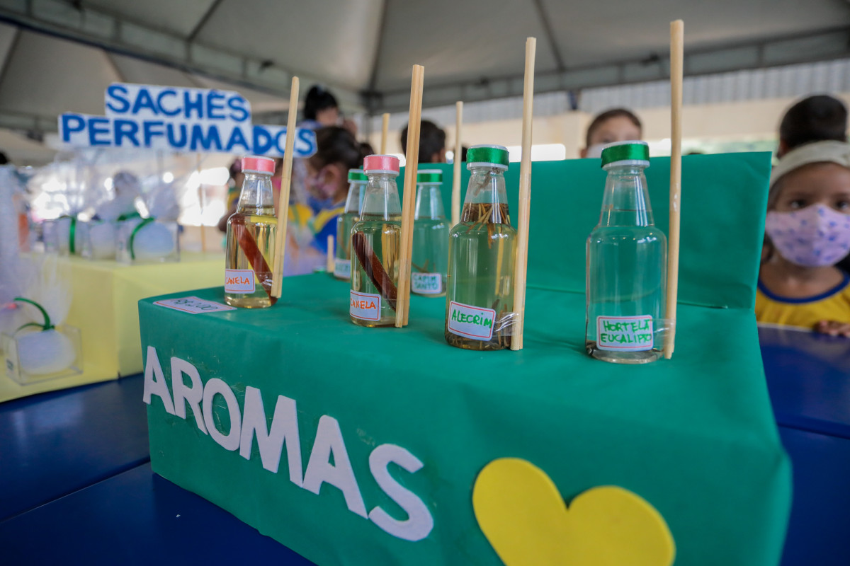 INVESTIMENTO - Prefeitura entrega veículos para atender a escolas das zonas urbana e rural de Porto Velho 